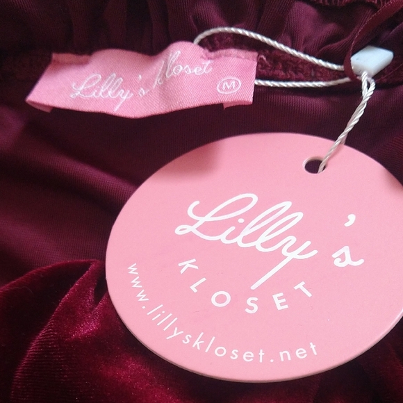 Lilly's Kloset Rich Burgundy Velvet Dress - Picture 2 of 7